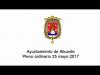 Pleno Municipal del Ayuntamiento de Alicante. Sesión Ordinaria, 25 de mayo de 2017.